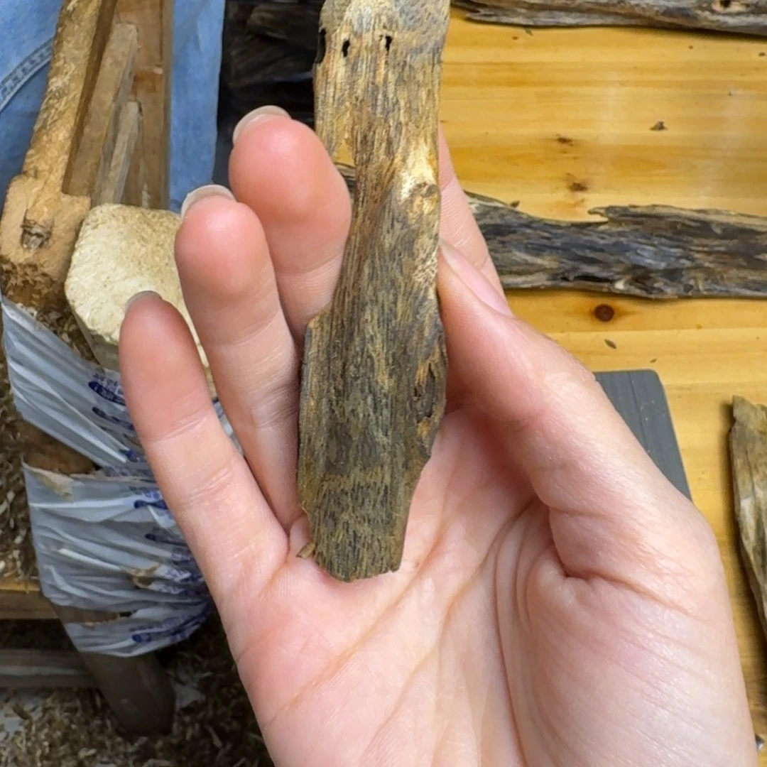 沉香沉香碎屑白棋品种块料8克