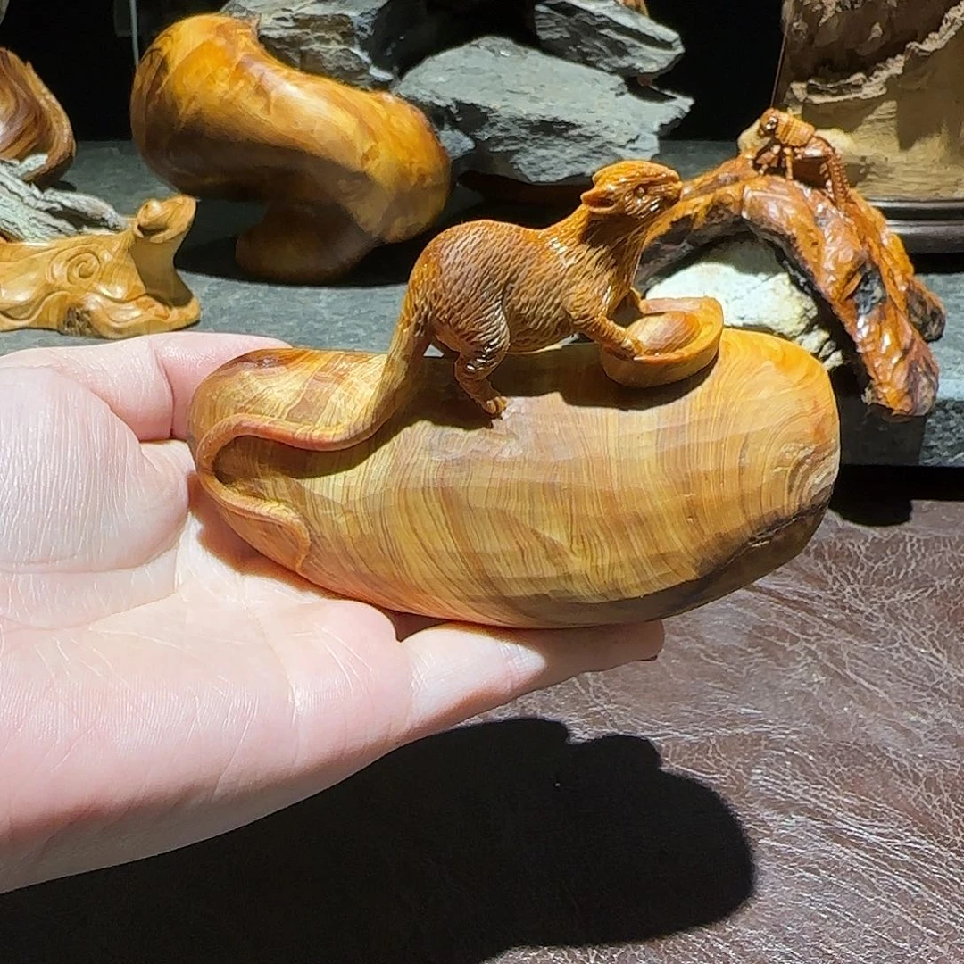 柏木（崖柏）太行集团的