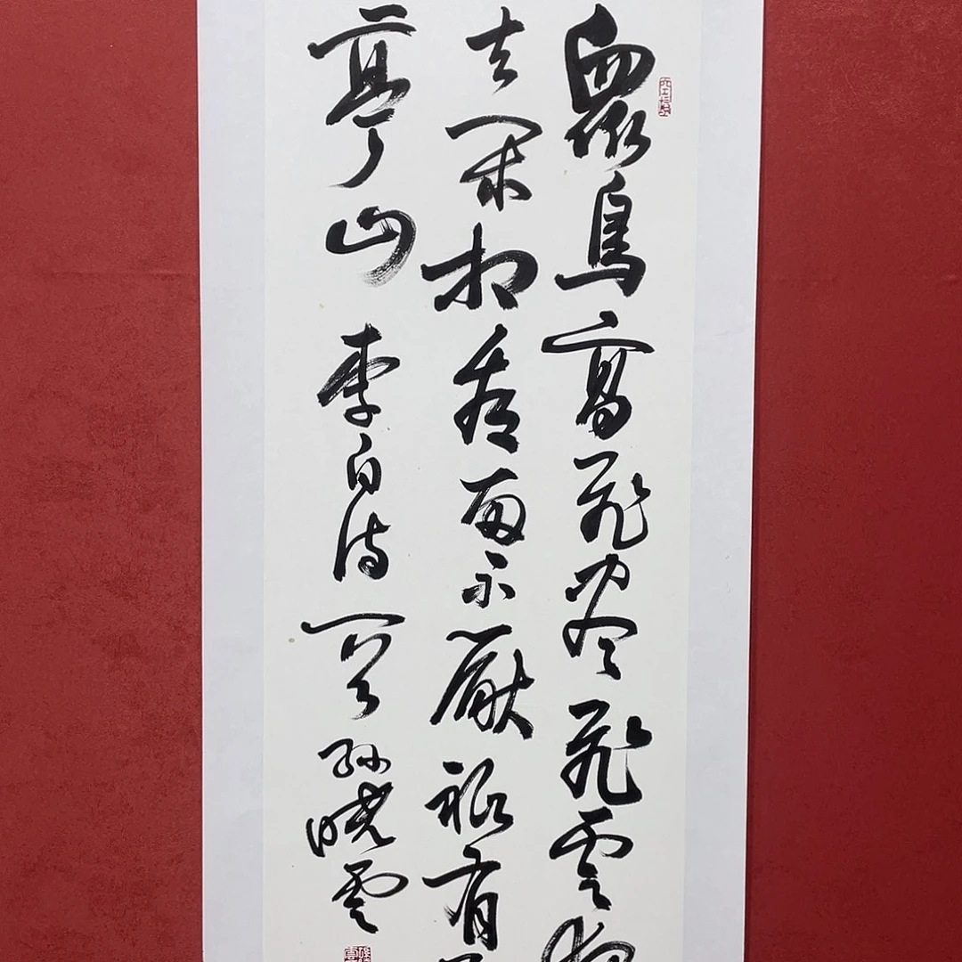 书法众鸟高飞直播大漏