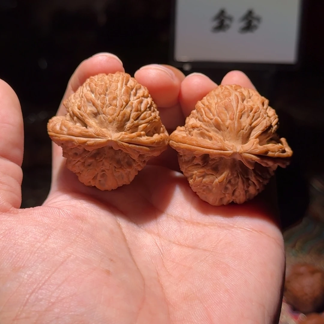 把件核桃1417粗筋球白，尺寸43 42 35