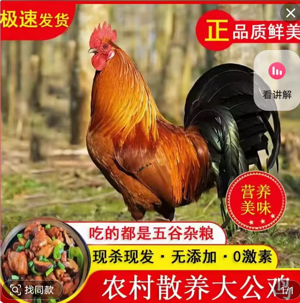 两只黑爪大冠公鸡(保8斤＋一斤鸡胗＋鸡胗鸡心鸡肝)到手九斤以上