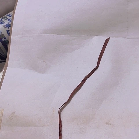 香榧木干*杯Fgfhfgfgfgg