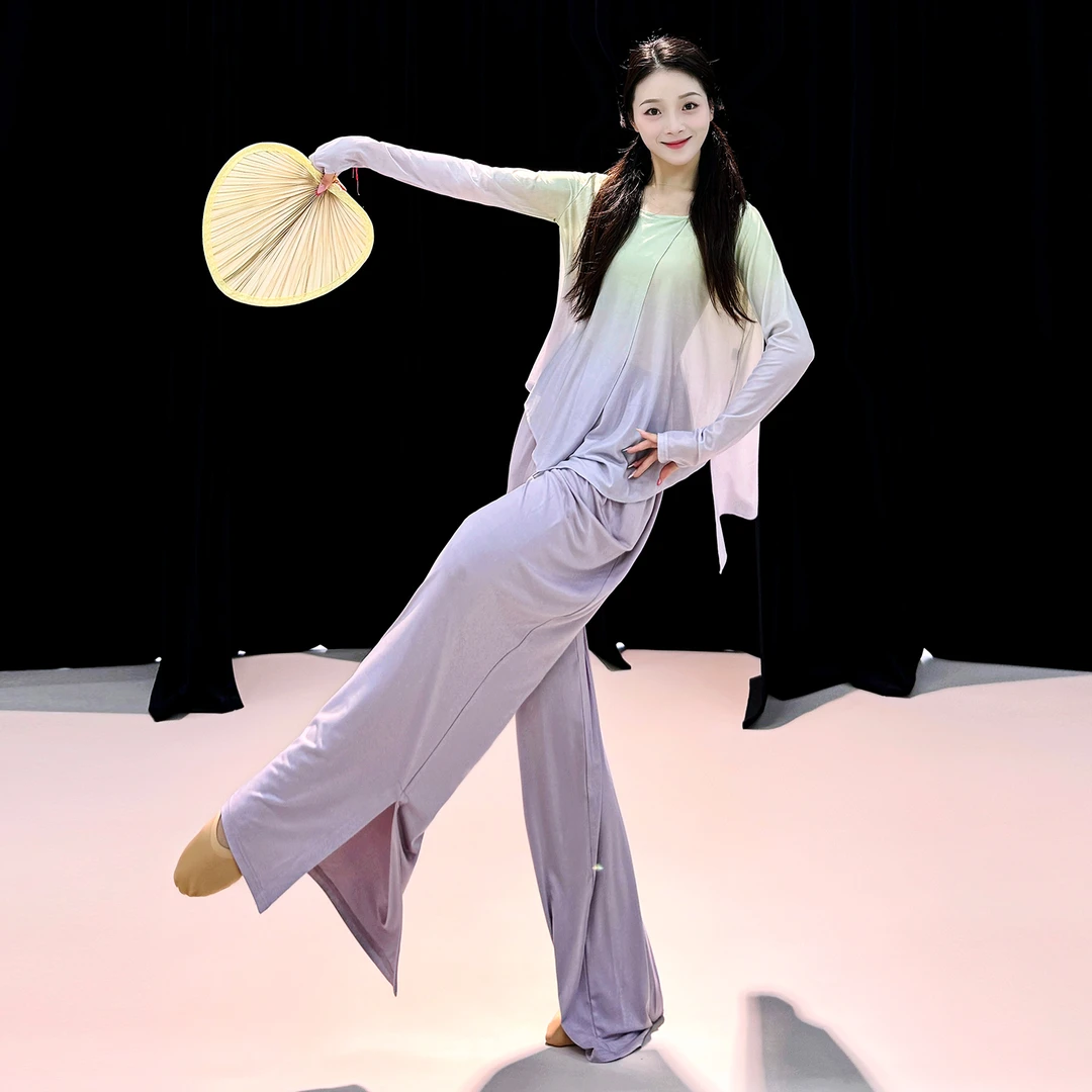 善然堂现代舞练功服女飘逸中国风渐变色纱衣舞蹈服演出服网纱上衣