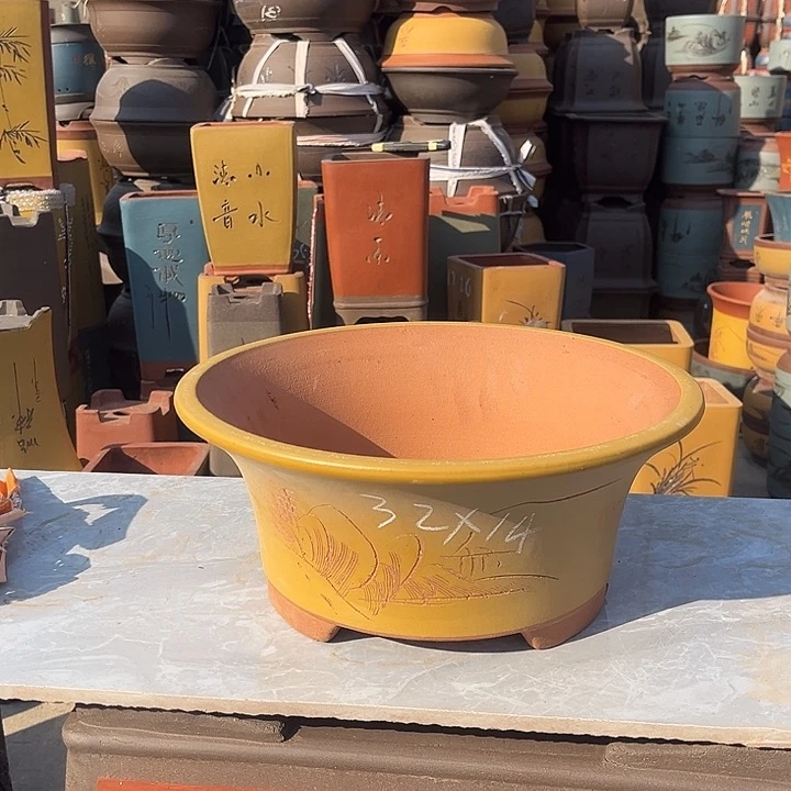 紫砂紫砂花盆盆栽