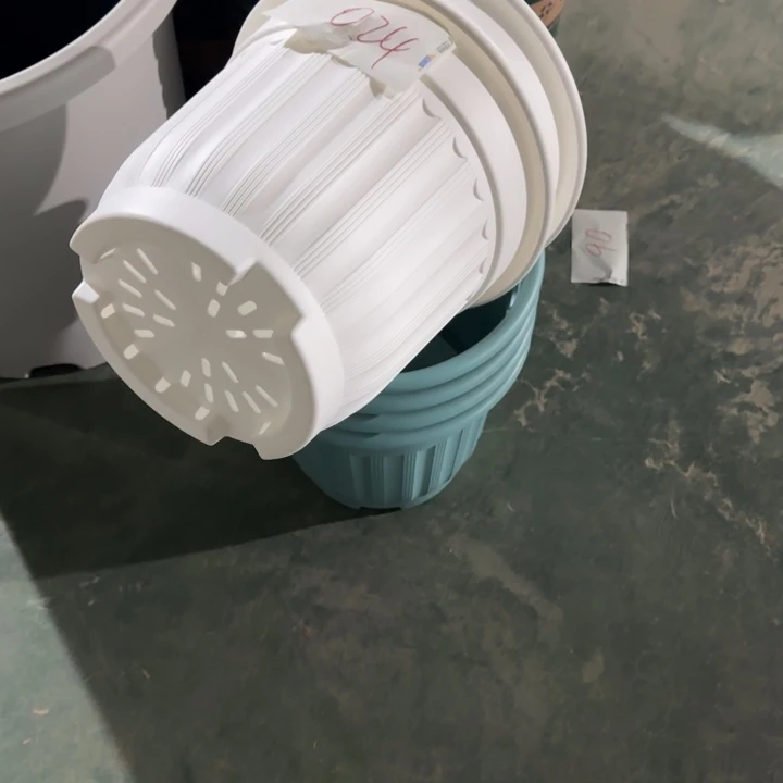 编号是024号的024号的