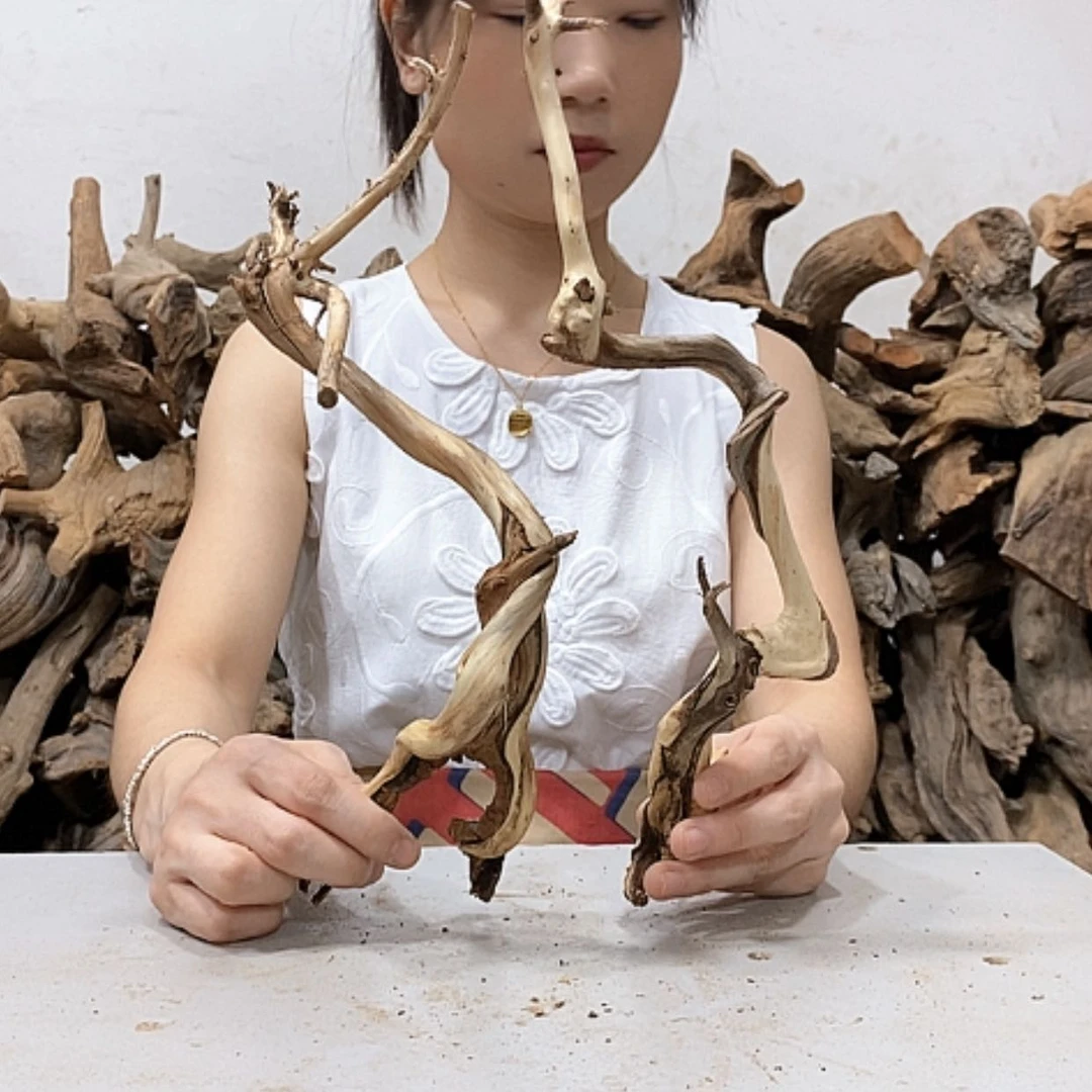 【闪购商品】柏木兰*爷我们都是好孩子