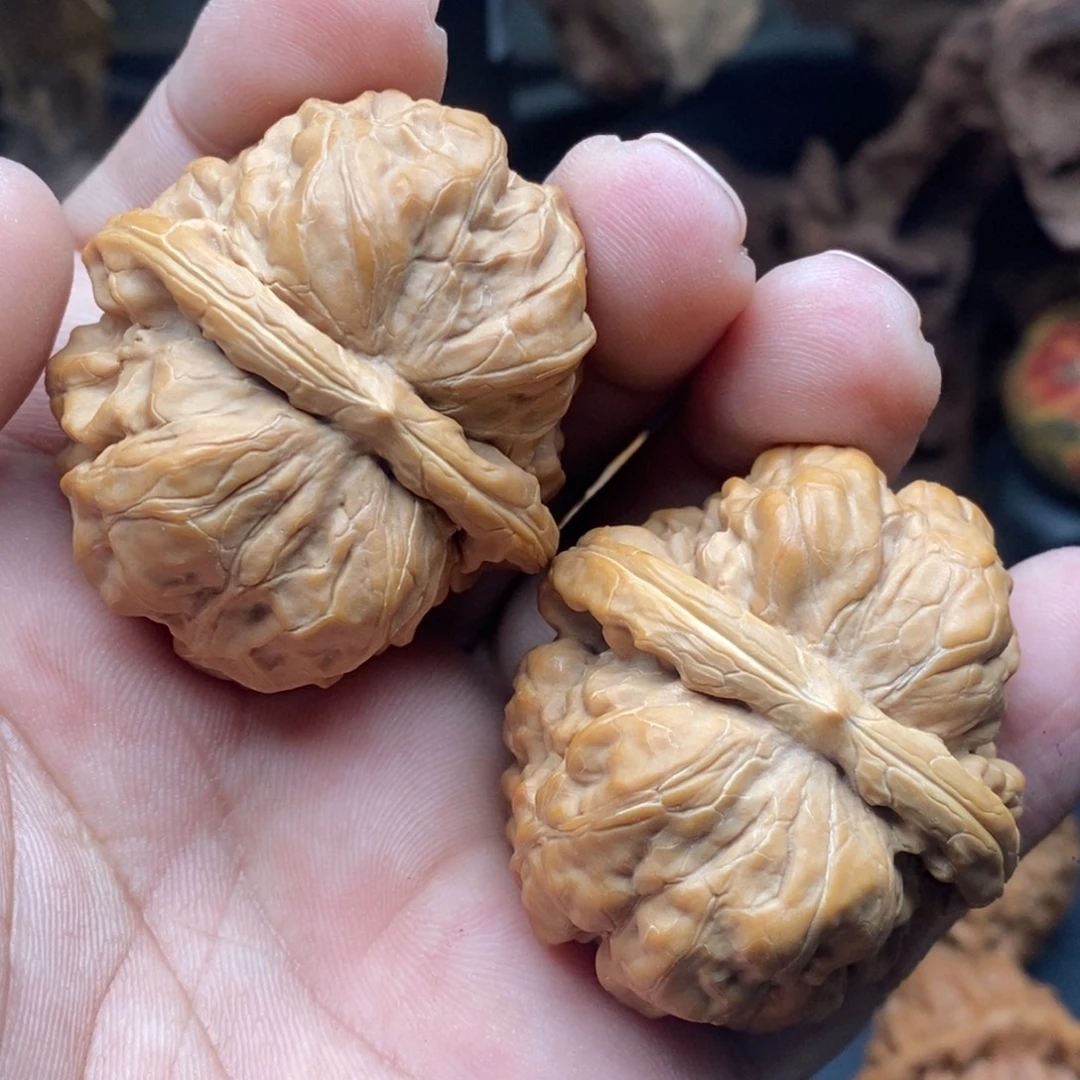 核桃肌肉蛙蛙………………