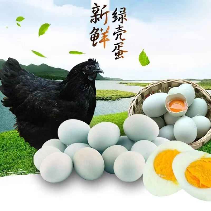 绿壳乌鸡蛋20农家散养/30/40枚农家新鲜散养笨鸡蛋