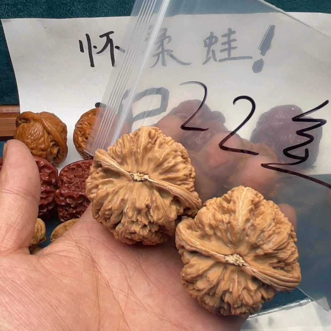 P***o核桃我369974479479947479479975