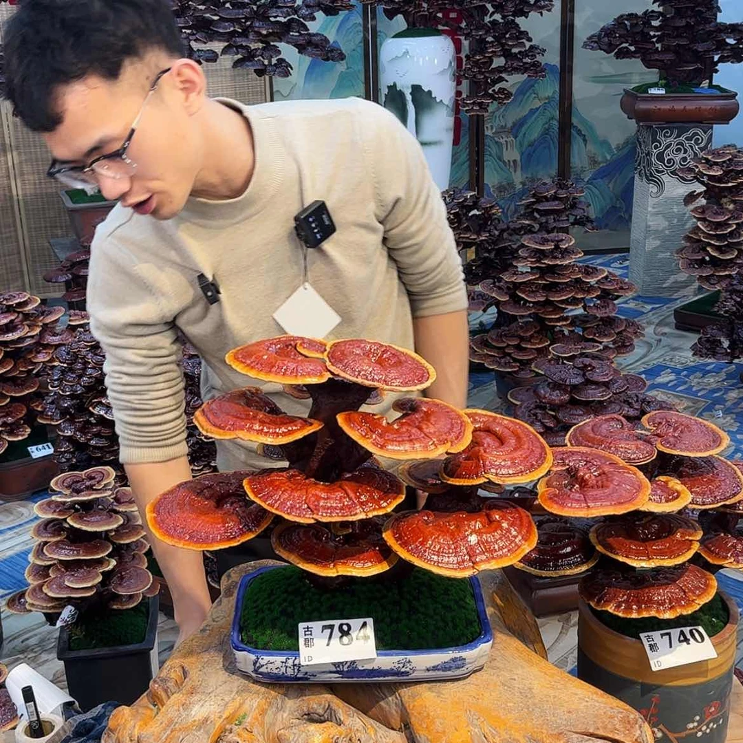 【闪购商品】88888