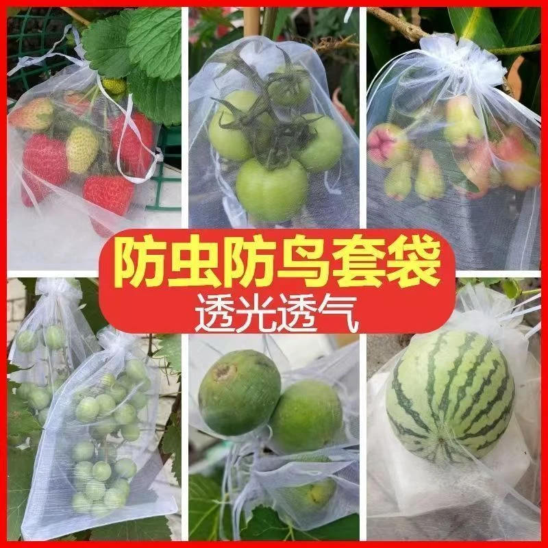 防虫耐用通用网眼袋水果套袋枇杷葡萄桃子苦瓜专用优品塑料条