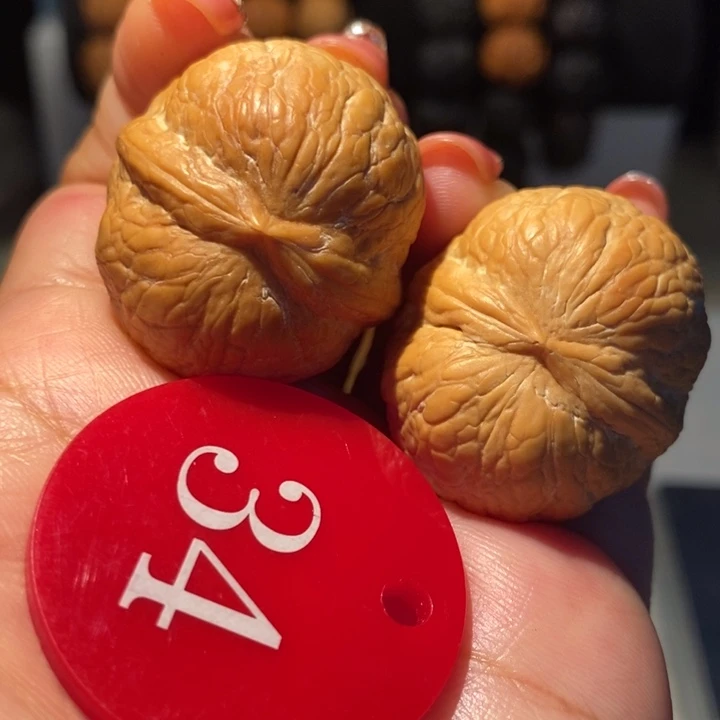 11号链接帝王蛇皮球33尺寸