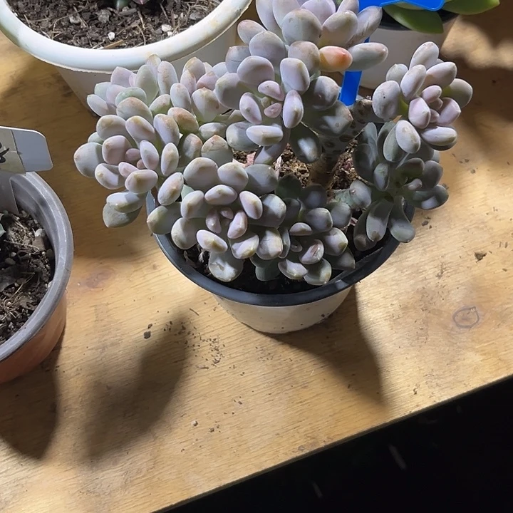 *****0000000000001075