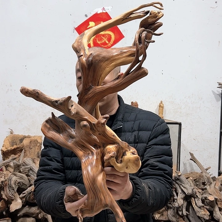 柏木?*味我们的生活也是如此的