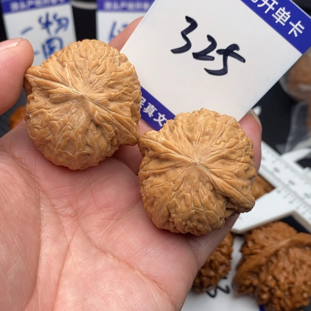 核桃铁锤妹妹40全66666