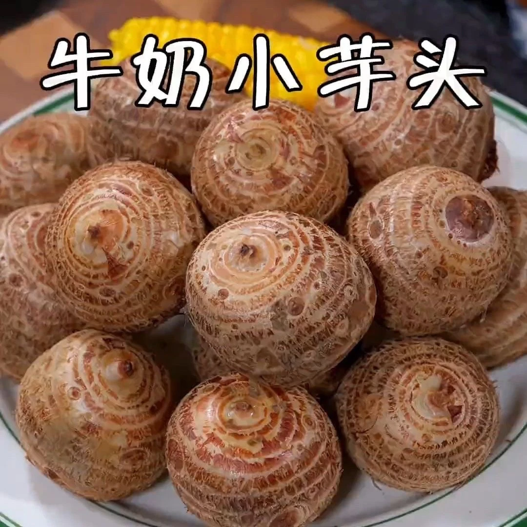 云南高山小芋头奶芋头新芋头粉糯奶香细腻嫩滑小芋头新鲜毛芋头仔