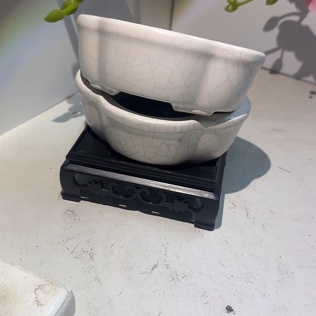 ：送托盘：凑满15元发：2个有孔处理：满15元发