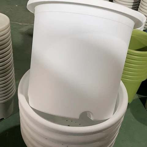 树脂四季6号3个无托白