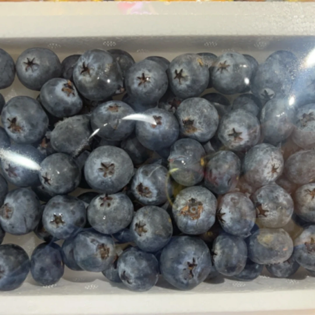 丹东L25蓝莓  毛一斤 14mm