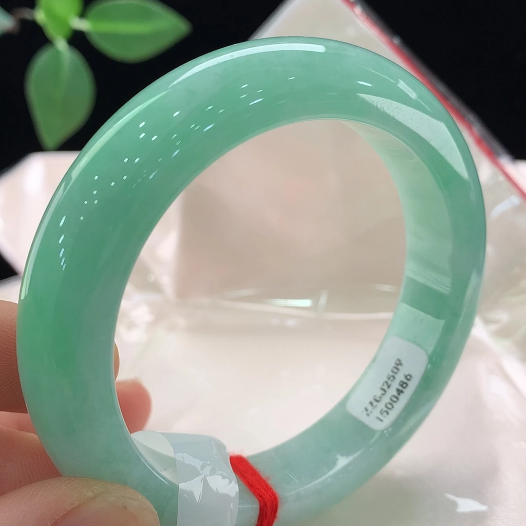 心***简未镶嵌手镯翡翠0486