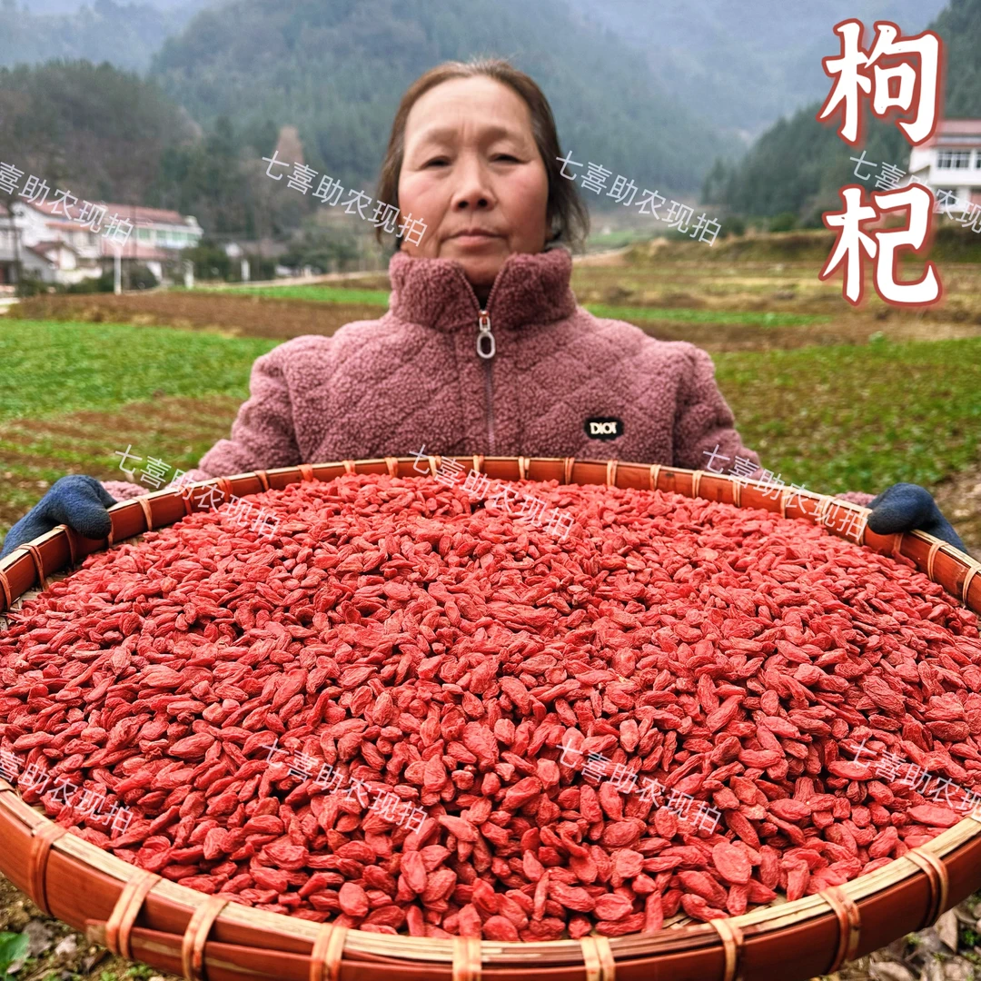 【现收枸杞】无硫泡水煲汤