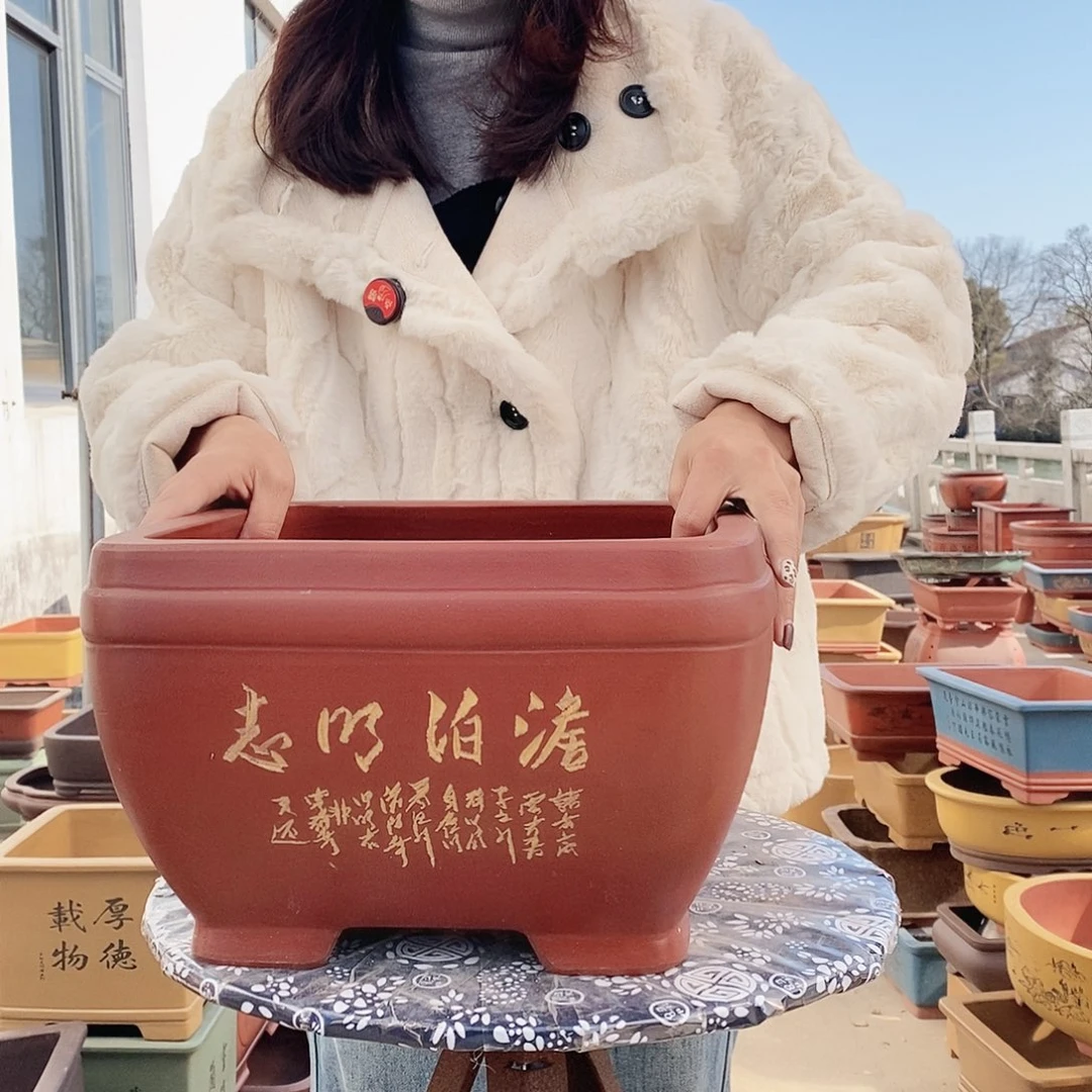 紫砂花盆紫砂花盆