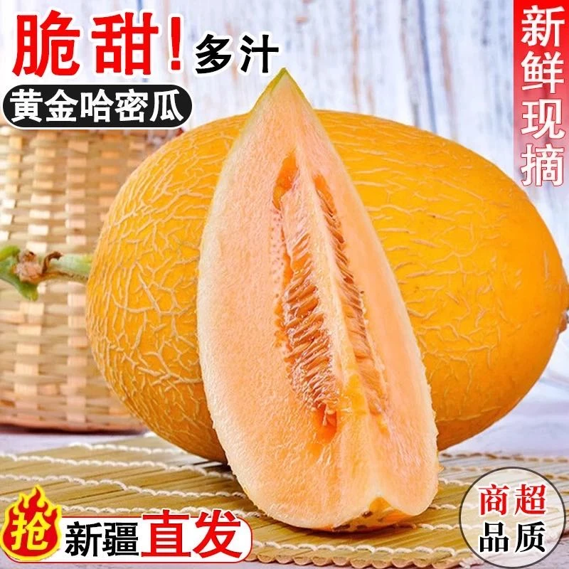 哈密瓜新疆南湖头茬金色年华西州蜜爆甜多汁孕妇应季水果新鲜到家