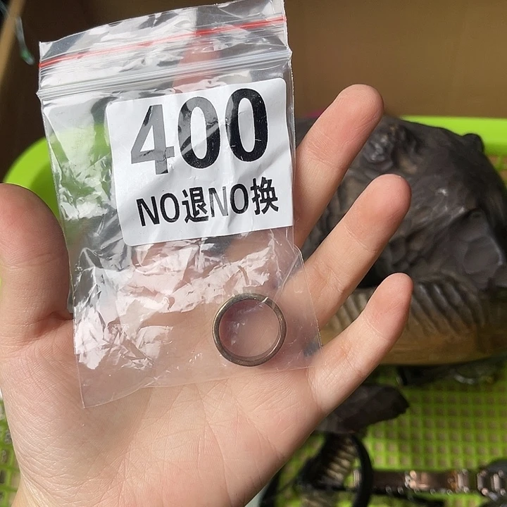 美***雀马上就要开始啦1111
