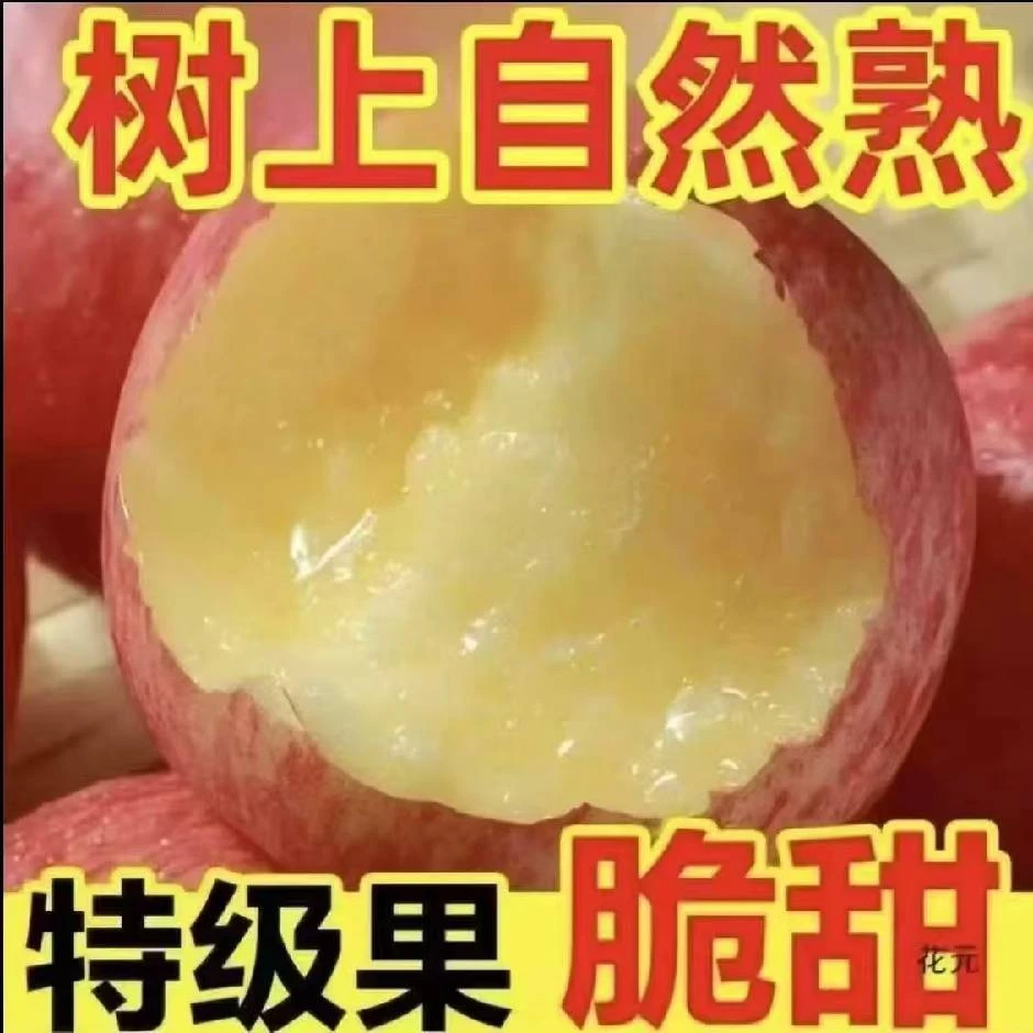 红富士冰糖心苹果皮薄肉厚新鲜采摘