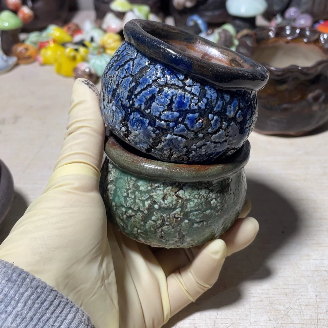 啦啦啦啦啦来看看小