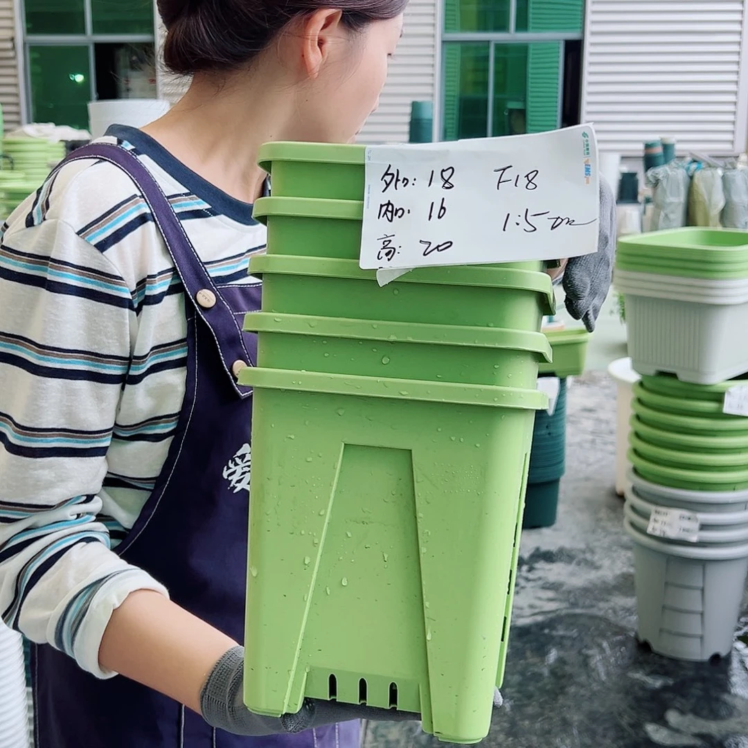 方盆F18果绿5个无托