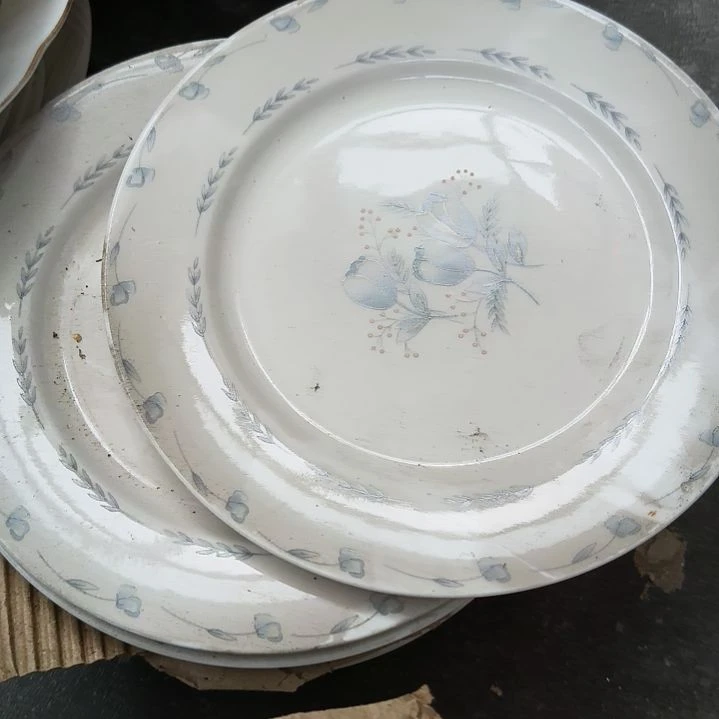 直径20厘米的平盘两个