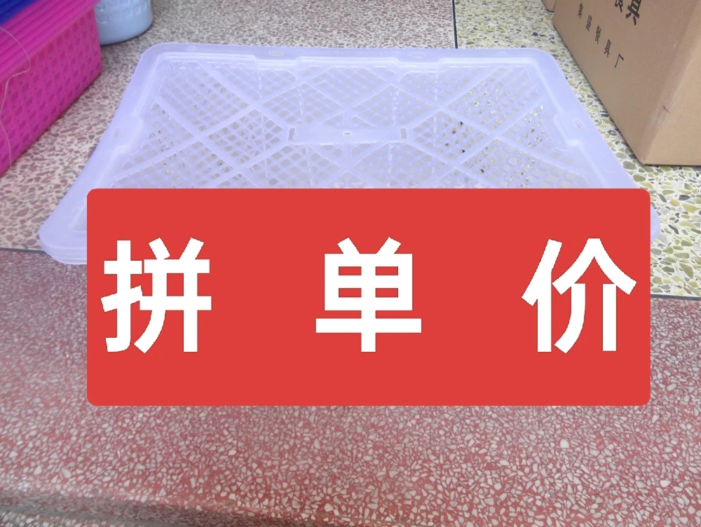 拼单信鸽的框子！