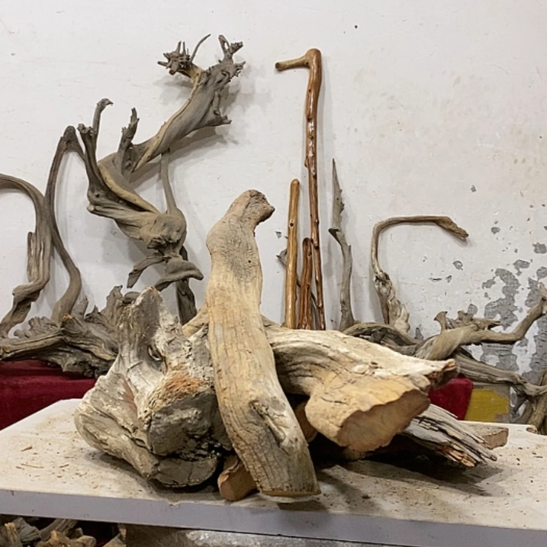 【闪购商品】柏木橡***你我们都是好孩子