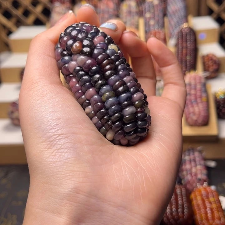 文玩玉米葡萄紫色