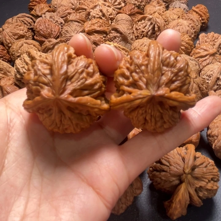 玉玺三棱38尺寸核桃哈哈哈哈哈哈