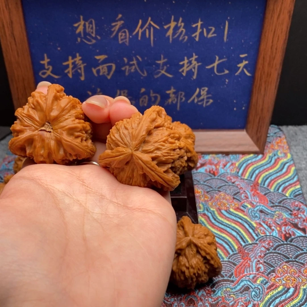 【闪购商品】轩***理白狮