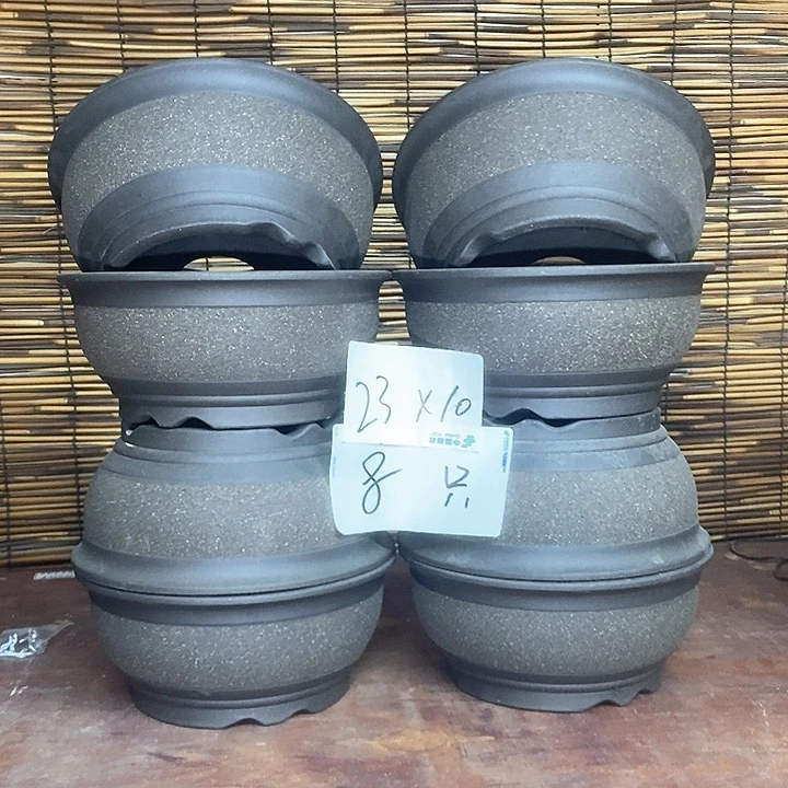 紫砂花盆紫色斑点