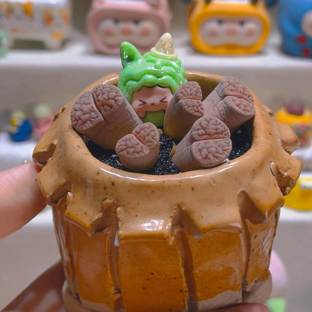 038高端多肉带盆带土romo