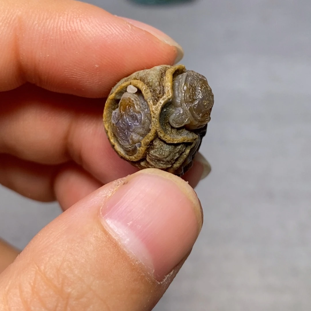 石头无言最可人儿