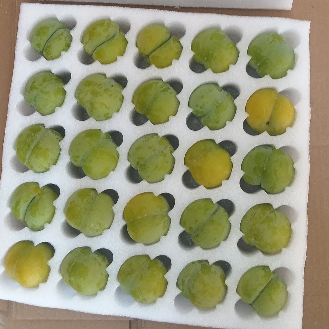 贵州新鲜现摘蜂糖李脆甜多汁水果