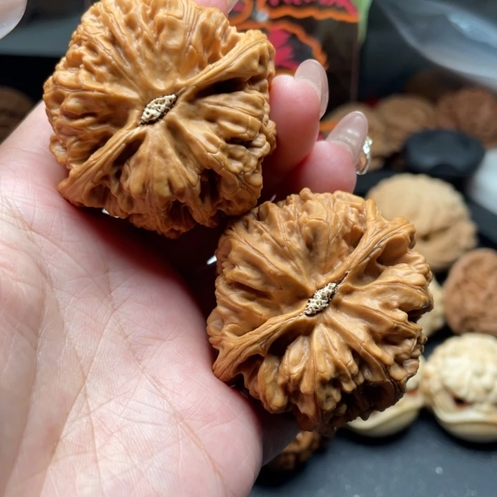 把件文玩核桃数*粗筋