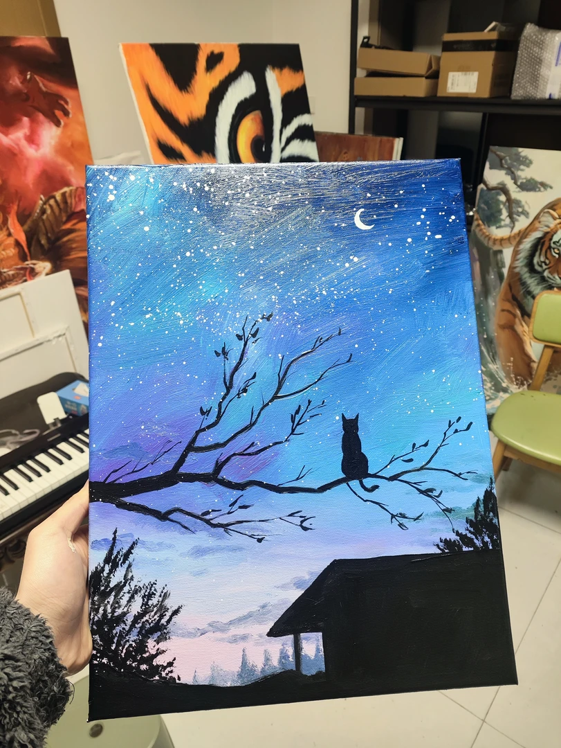 星空黑猫装饰画s