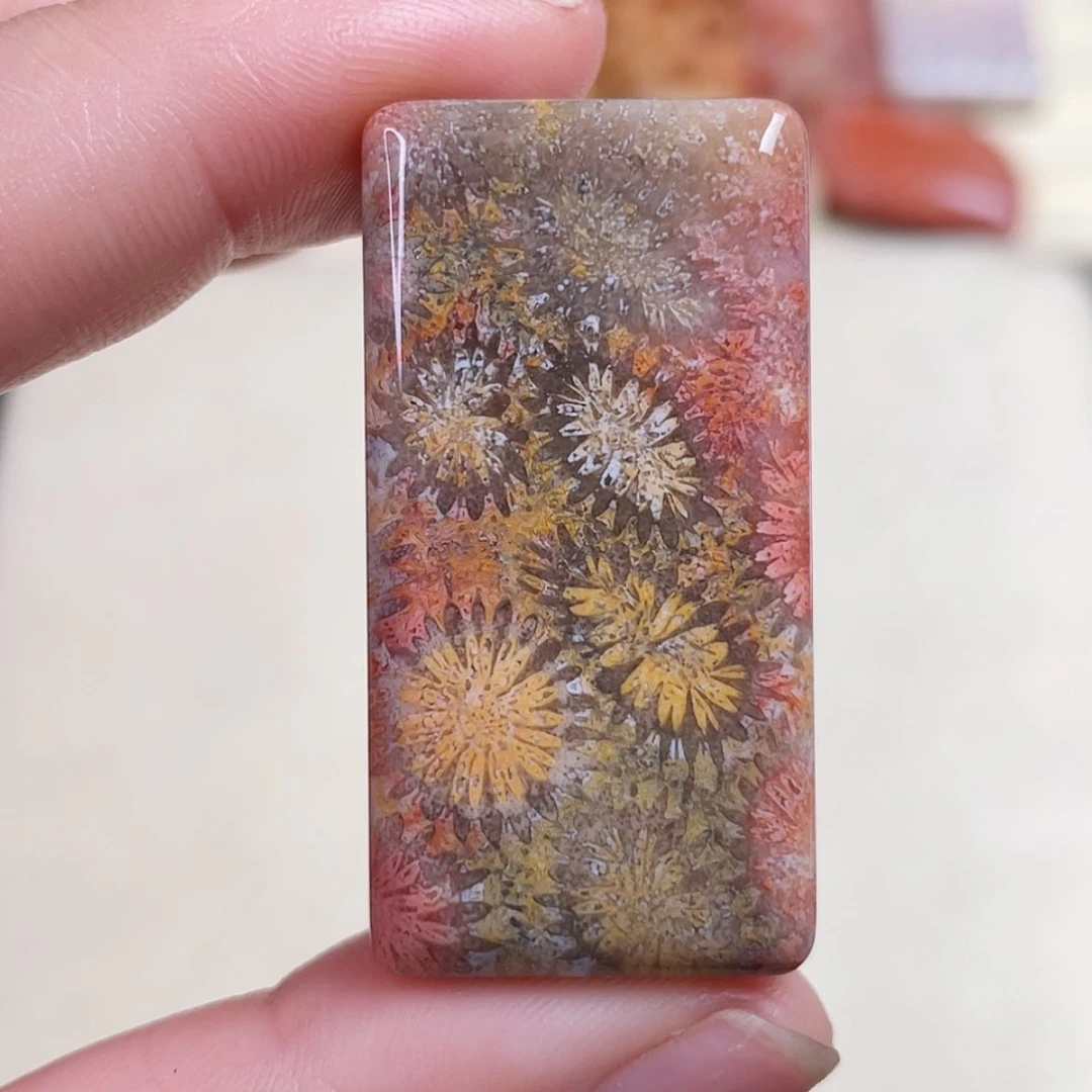 【闪购商品】未镶嵌吊坠(赠链)硅化玉