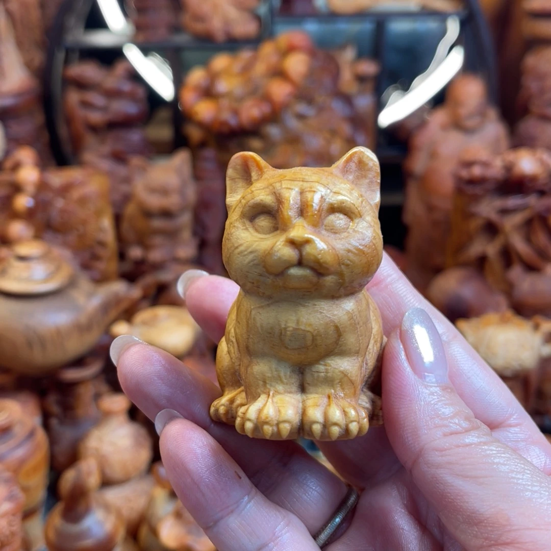 松木（琥珀木）其他小猫
