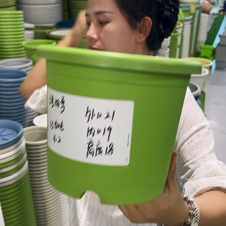 特价3号四季口21高18果绿无托10只