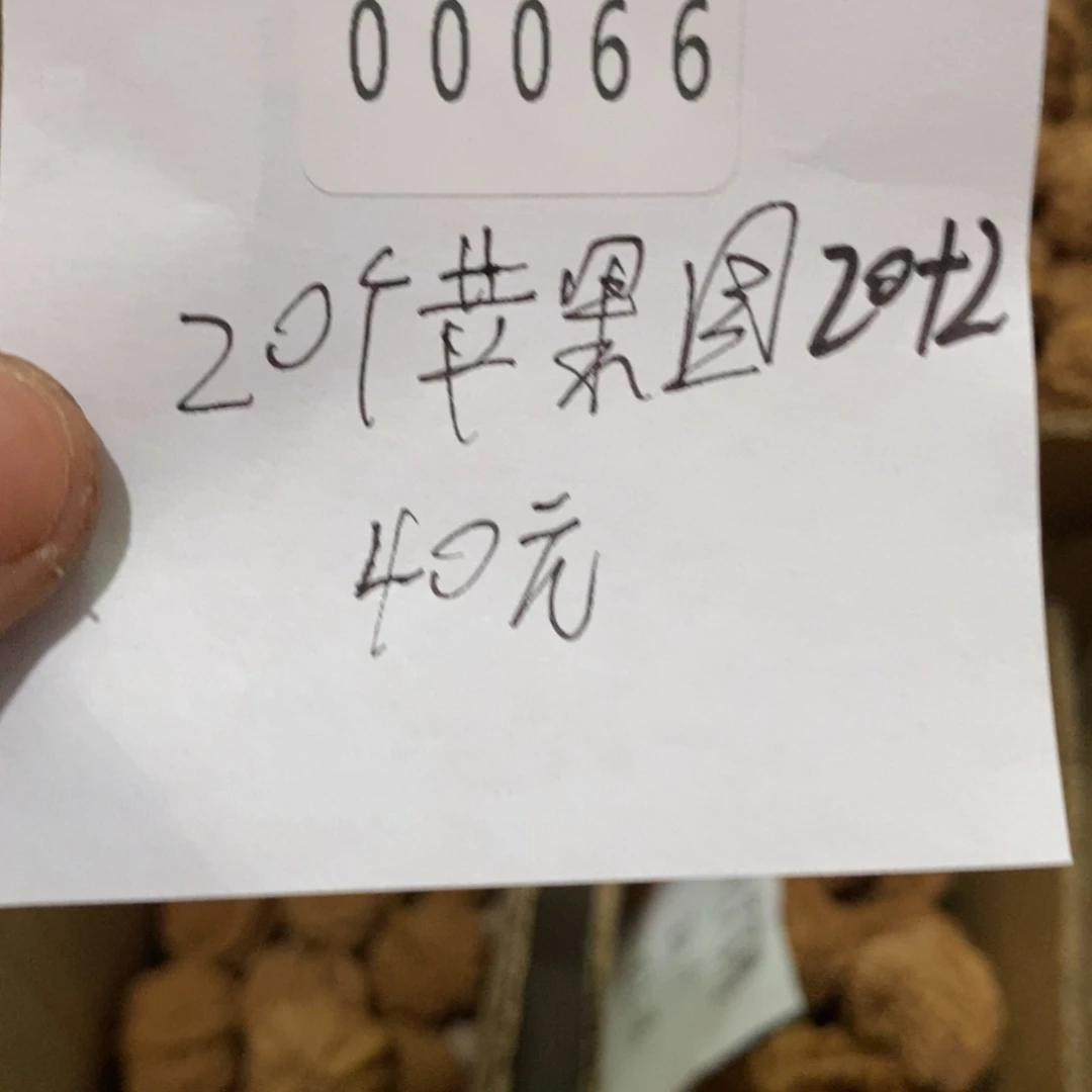 宁***卿文玩核桃把件00066