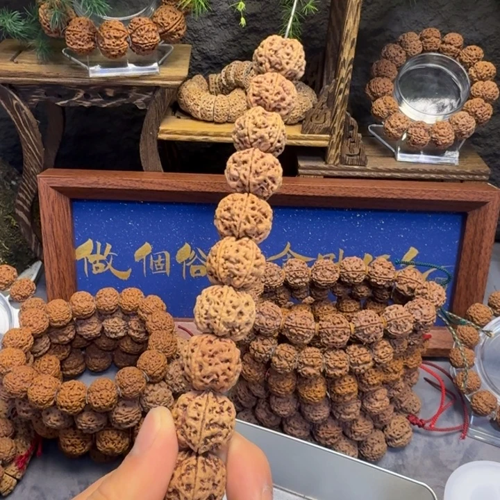 手串金刚菩提矮桩梅花开播福利现串