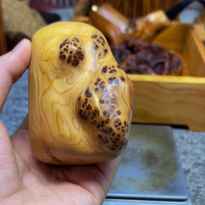 柏木（崖柏）崖柏94