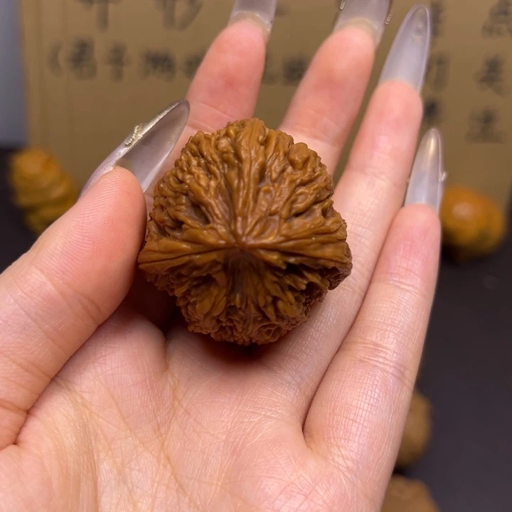 齐***齐菩提籽类南疆三棱单只异型有瑕